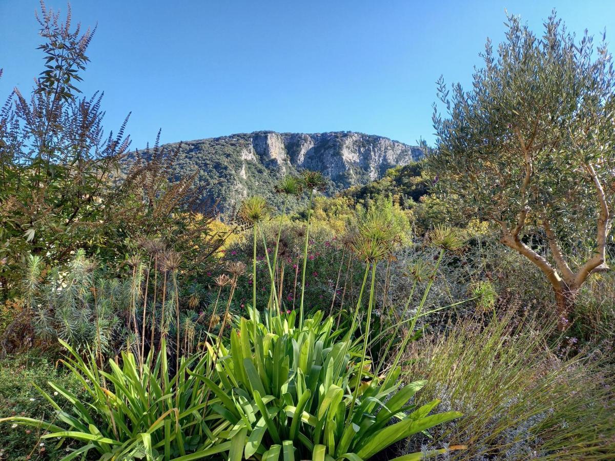 Gite En Cevennes Du Sud, Bergerie Restauree Au Rez De Jardin D'Une Bastide Avec Piscine, Vue Exceptionnelle, Authenticite Et Confort Saint-Laurent-le-Minier Экстерьер фото